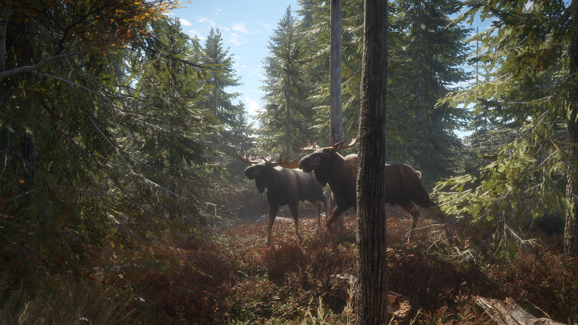 The Hunter - Call of the Wild | THQ Nordic GmbH